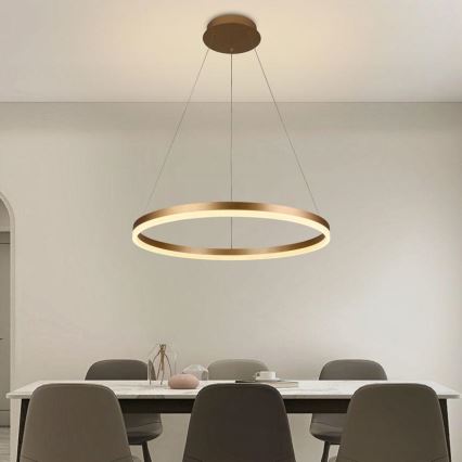 LED dimmbare Hängeleuchte an Kabel LED/42W/230V 3000-6500K Ø 60 cm + Fernbedienung