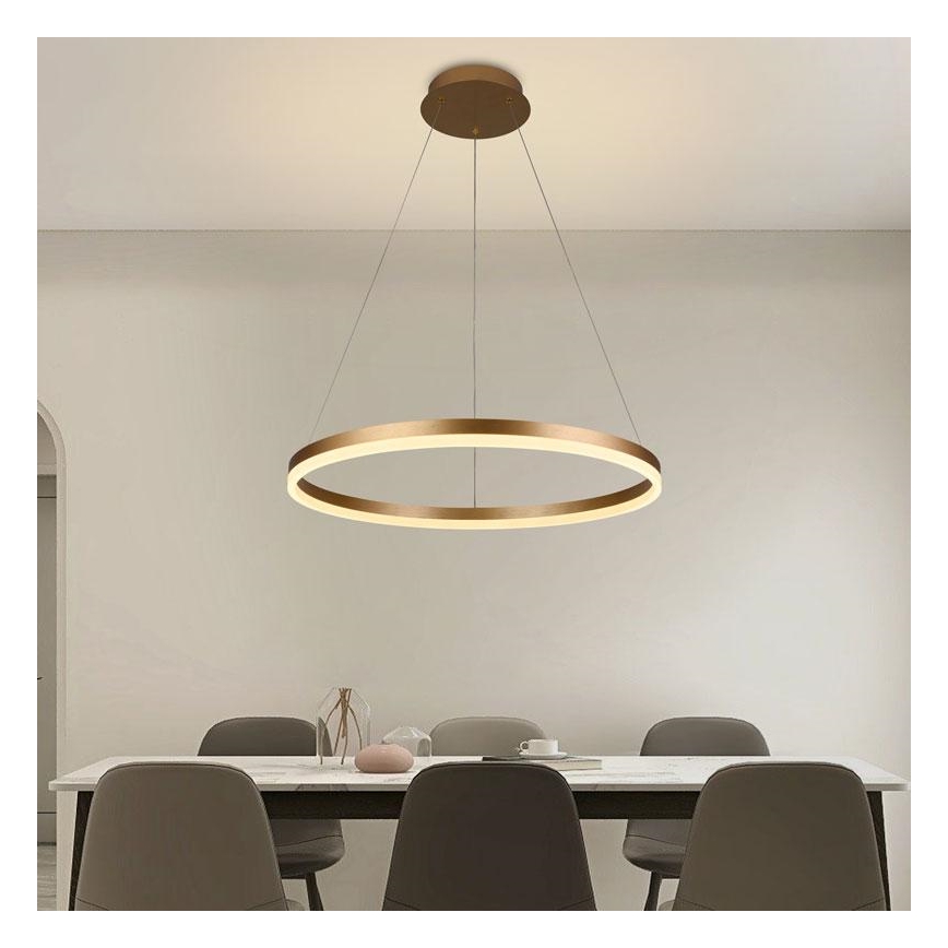 LED dimmbare Hängeleuchte an Kabel LED/42W/230V 3000-6500K Ø 60 cm + Fernbedienung