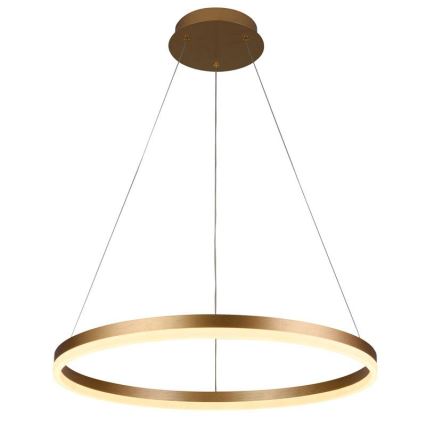 LED dimmbare Hängeleuchte an Kabel LED/42W/230V 3000-6500K Ø 60 cm + Fernbedienung