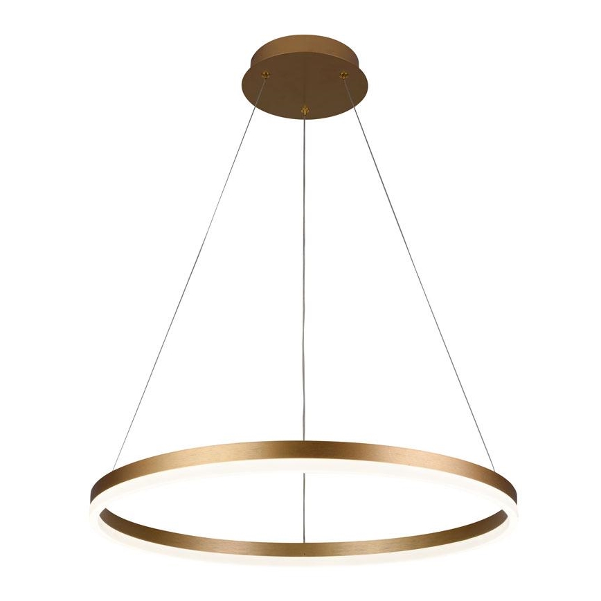 LED dimmbare Hängeleuchte an Kabel LED/42W/230V 3000-6500K Ø 60 cm + Fernbedienung
