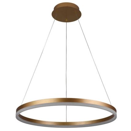 LED dimmbare Hängeleuchte an Kabel LED/42W/230V 3000-6500K Ø 60 cm + Fernbedienung