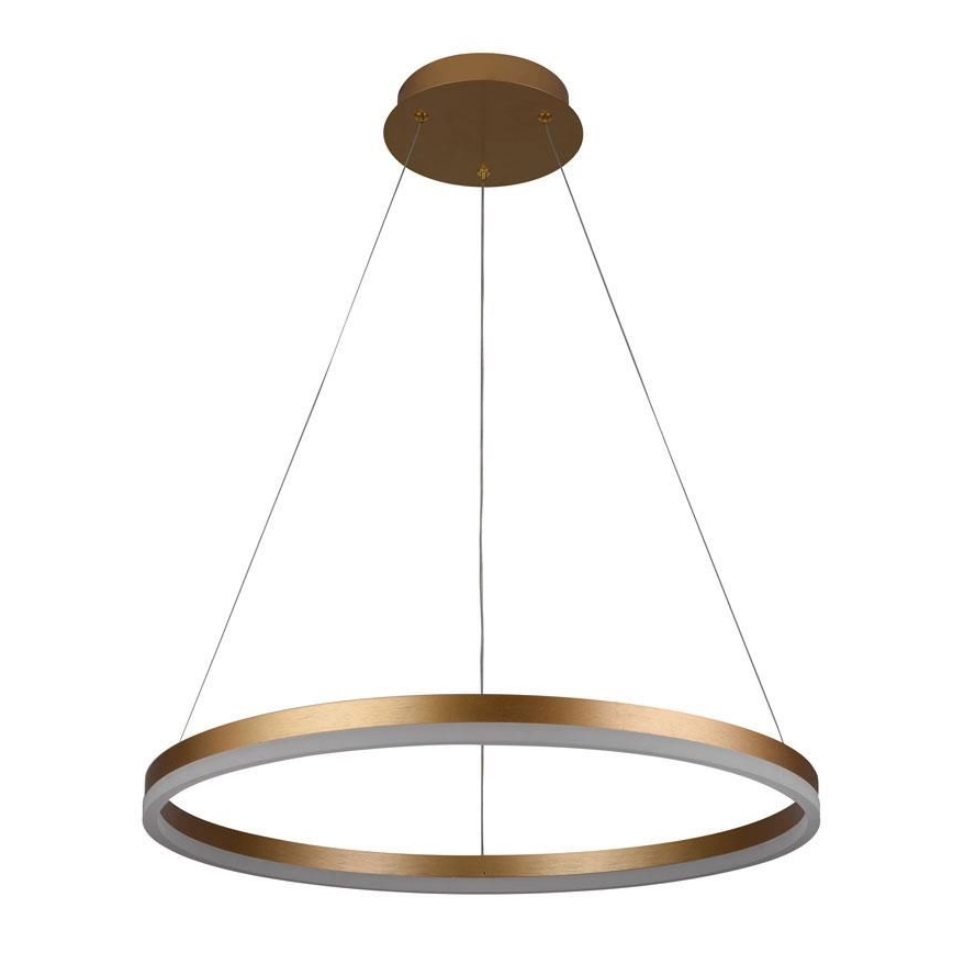 LED dimmbare Hängeleuchte an Kabel LED/42W/230V 3000-6500K Ø 60 cm + Fernbedienung