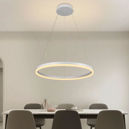 LED dimmbare Hängeleuchte an Kabel LED/42W/230V 3000-6500K Ø 60 cm + Fernbedienung