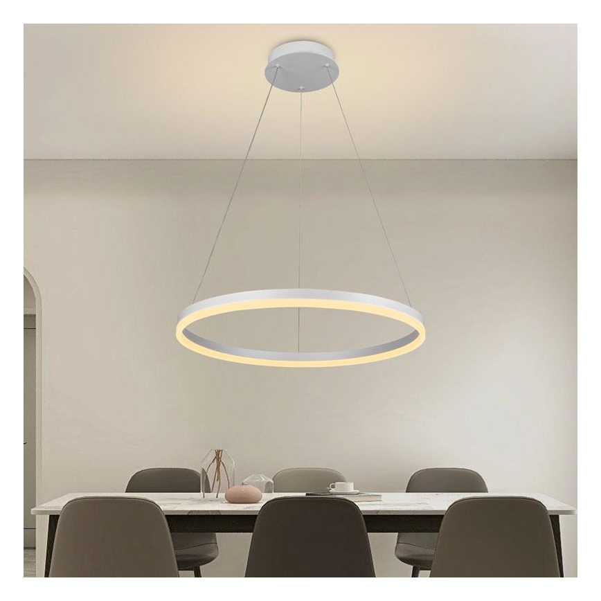 LED dimmbare Hängeleuchte an Kabel LED/42W/230V 3000-6500K Ø 60 cm + Fernbedienung