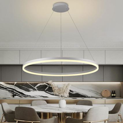 LED dimmbare Hängeleuchte an Kabel LED/55W/230V 3000-6500K Ø 80 cm + Fernbedienung