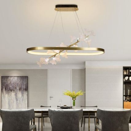 LED dimmbare Hängeleuchte an Seil LED/55W/230V 3000-6500K + Fernbedienung