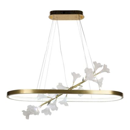 LED dimmbare Hängeleuchte an Seil LED/55W/230V 3000-6500K + Fernbedienung