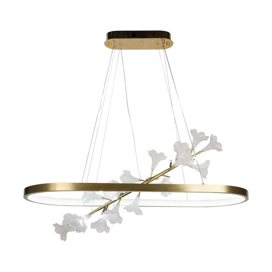 LED dimmbare Hängeleuchte an Seil LED/55W/230V 3000-6500K + Fernbedienung