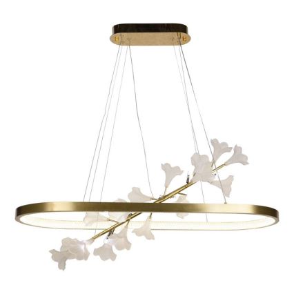 LED dimmbare Hängeleuchte an Seil LED/55W/230V 3000-6500K + Fernbedienung