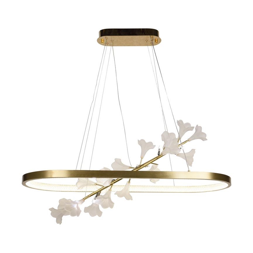 LED dimmbare Hängeleuchte an Seil LED/55W/230V 3000-6500K + Fernbedienung