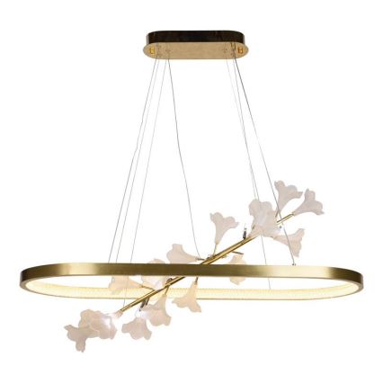 LED dimmbare Hängeleuchte an Seil LED/55W/230V 3000-6500K + Fernbedienung