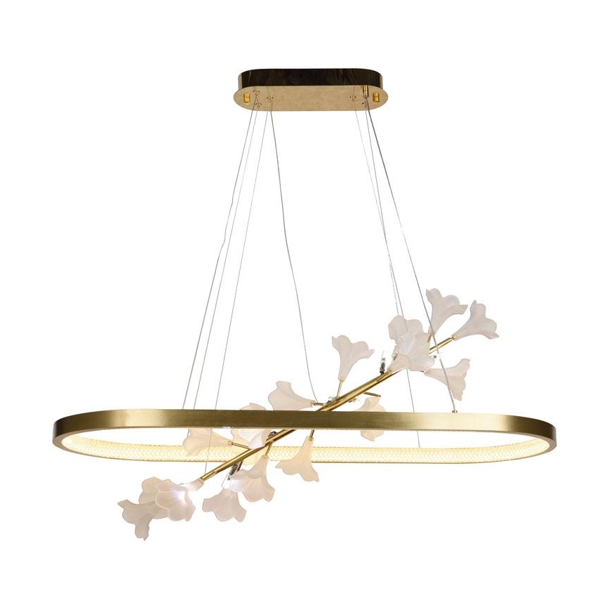 LED dimmbare Hängeleuchte an Seil LED/55W/230V 3000-6500K + Fernbedienung