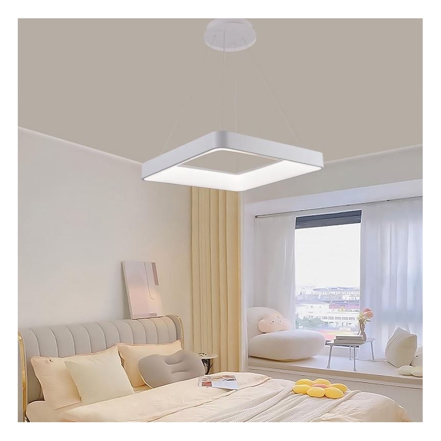 LED dimmbare Hängeleuchte an Seil LED/55W/230V 3000-6500K Weiß + Fernbedienung