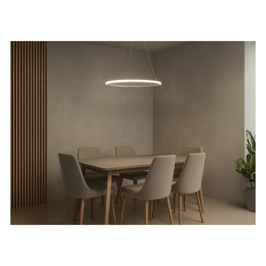 Dimmbare LED-Pendelleuchte mit Drahtseilaufhängung, 32 W, 230 V, 3000–6500 K, Ø 60 cm + Fernbedienung
