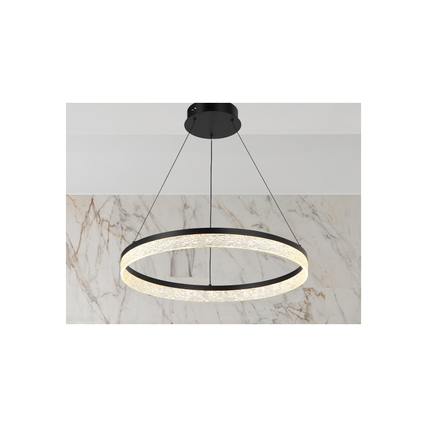 LED-dimmbarer Pendelleuchter an Stahlseil ALIANZ LED/60W/230V 3000-6000K Ø 80 cm + Fernbedienung