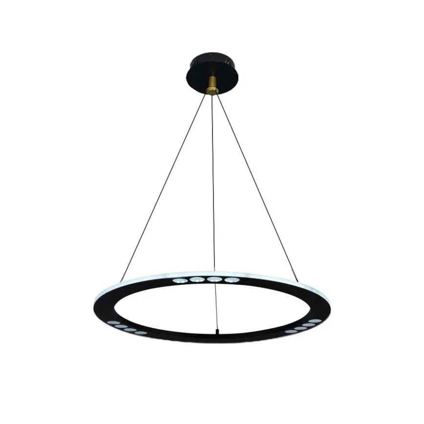 LED dimmbare Hängeleuchte an Kabel LED/40W/230V 3000-6500K + Fernbedienung