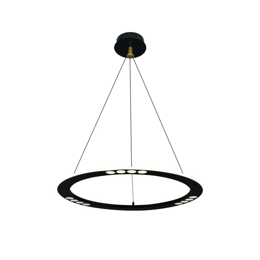 LED dimmbare Hängeleuchte an Kabel LED/40W/230V 3000-6500K + Fernbedienung