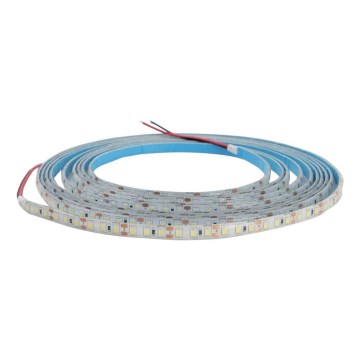 LED dimmbarer Badezimmerstreifen DAISY 5m Tageslichtweiß IP65