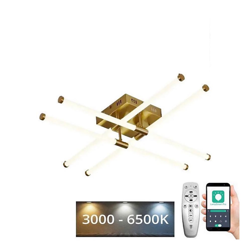 LED Dimmbarer Deckenleuchter LED/30W/230V 3000-6500K + Fernbedienung
