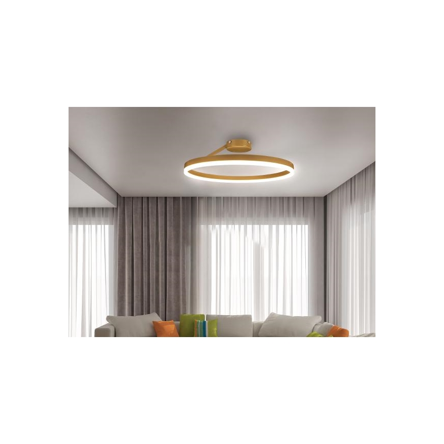 LED Dimmbarer Deckenleuchter LED/40W/230V 3000-6500K Gold + Fernbedienung
