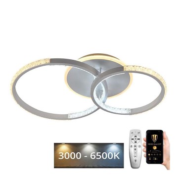 LED Dimmbarer Deckenleuchter LED/55W/230V 3000-6500K + Fernbedienung