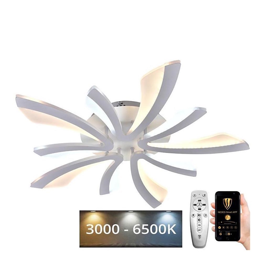 LED Dimmbarer Deckenleuchter LED/55W/230V 3000-6500K + Fernbedienung