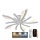 LED Dimmbarer Deckenleuchter LED/55W/230V 3000-6500K + Fernbedienung