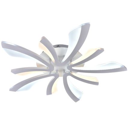 LED Dimmbarer Deckenleuchter LED/55W/230V 3000-6500K + Fernbedienung