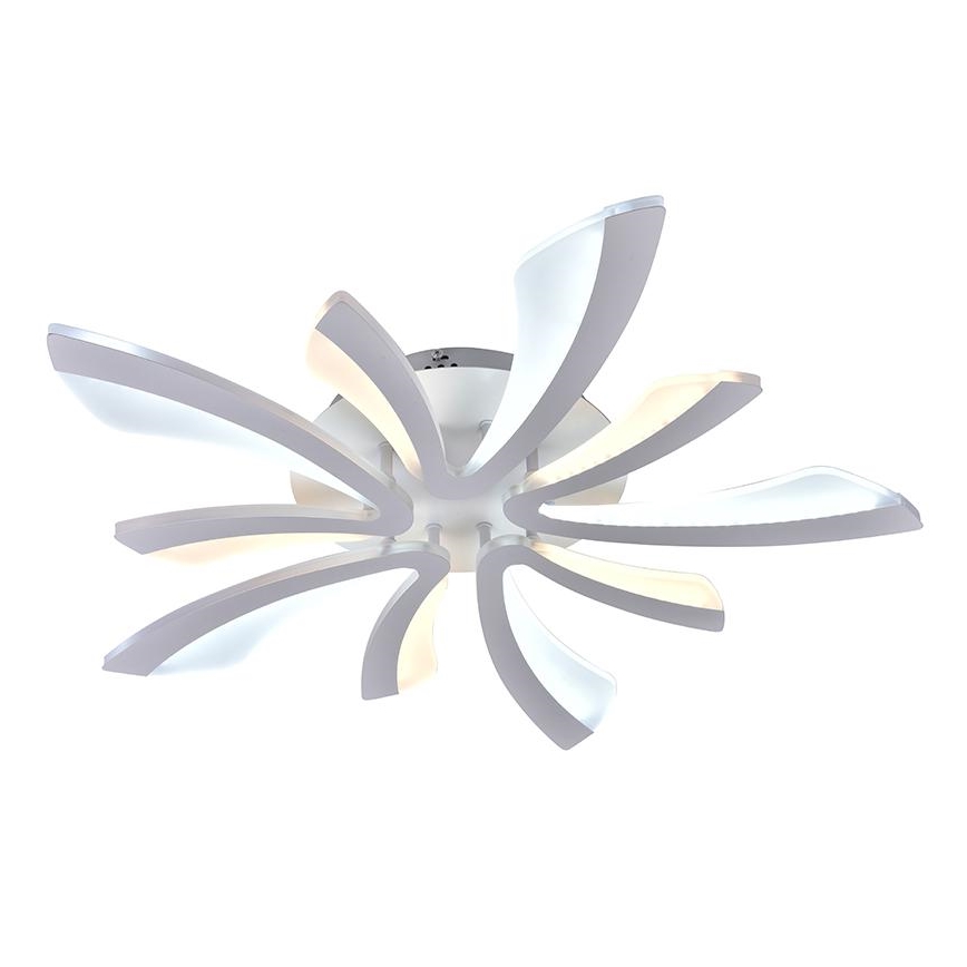 LED Dimmbarer Deckenleuchter LED/55W/230V 3000-6500K + Fernbedienung