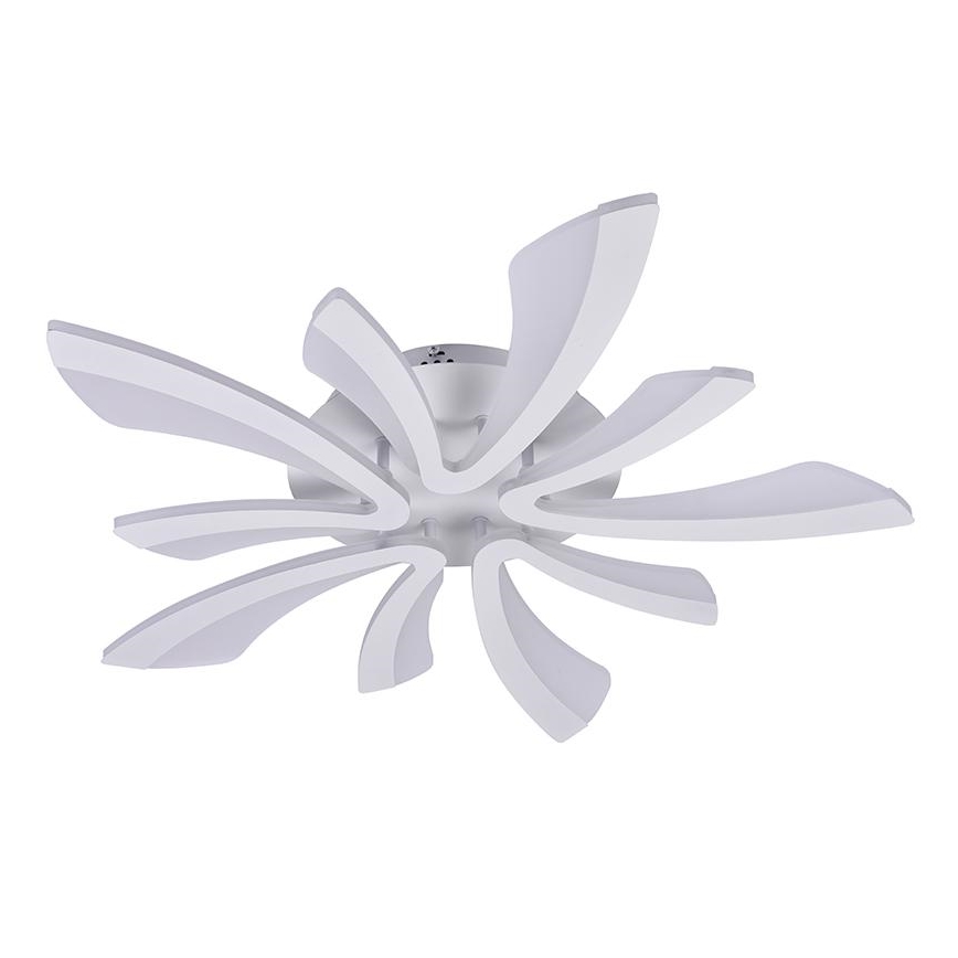 LED Dimmbarer Deckenleuchter LED/55W/230V 3000-6500K + Fernbedienung