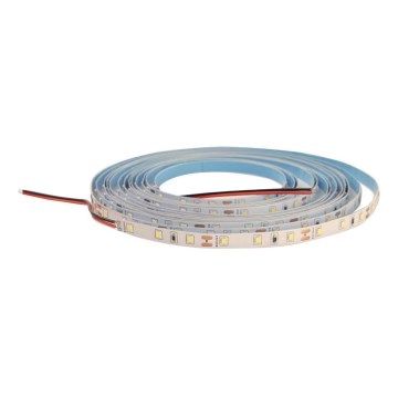 LED dimmbarer Streifen DAISY 5m kaltweiß