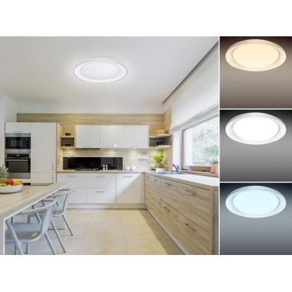 LED Dimmbares Deckenleuchte OPAL LED/24W/230V + Fernbedienung