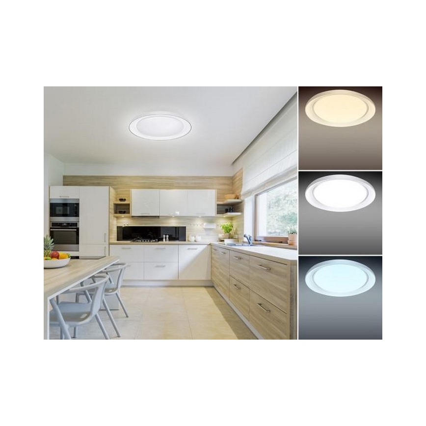 LED Dimmbares Deckenleuchte OPAL LED/24W/230V + Fernbedienung