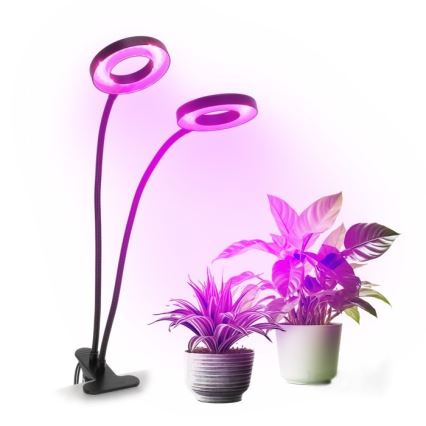 LED dimmbare flexible Tischlampe mit Clip zur Pflanzenzucht VITARO 2xLED/4W/230V schwarz