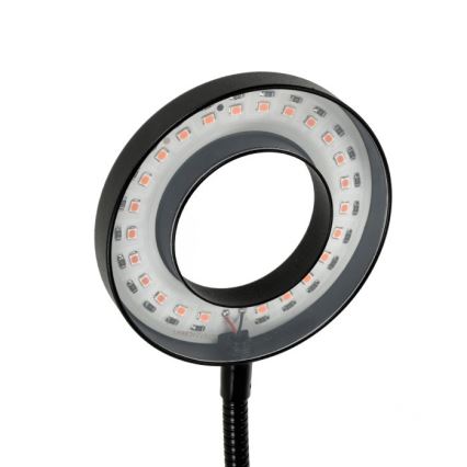 LED dimmbare flexible Tischlampe mit Clip zur Pflanzenzucht VITARO 2xLED/4W/230V schwarz