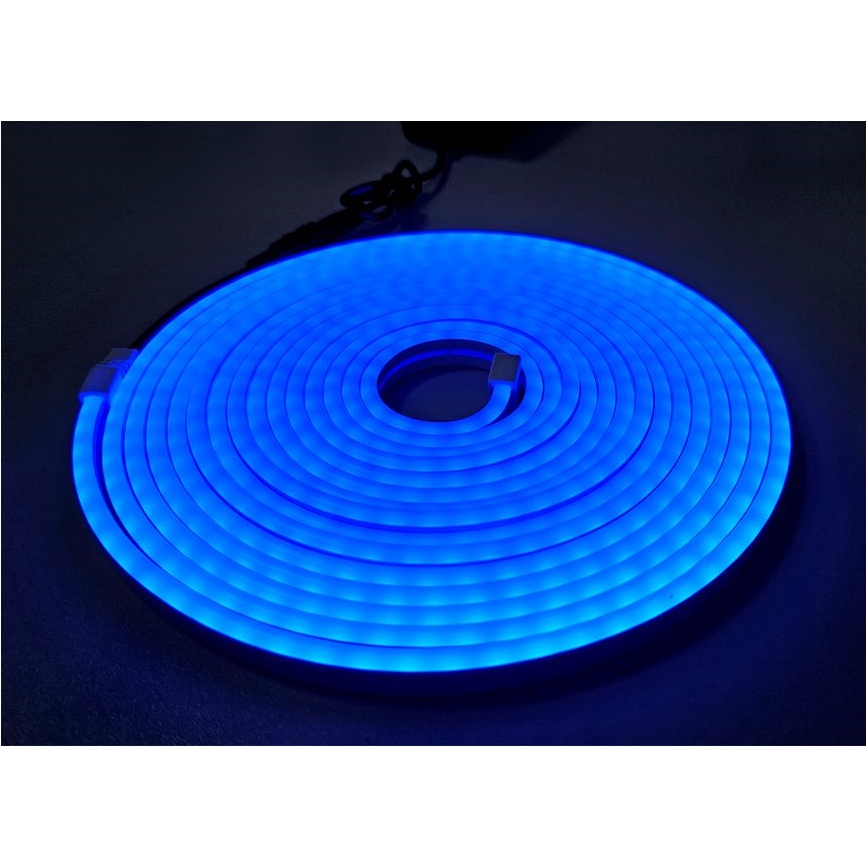 LED Flexibler Streifen NEON LED/10W/230V 5 m IP65 blau
