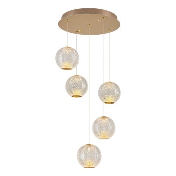 LED-Hängeleuchte an Kabel CREMONA 5xLED/5W/230V 3000K goldfarben