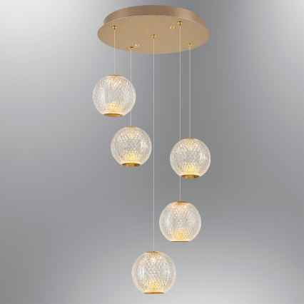LED-Hängeleuchte an Kabel CREMONA 5xLED/5W/230V 3000K goldfarben