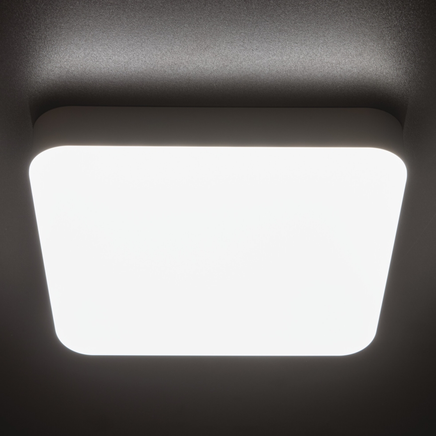 LED-Hochleistungs-Deckenleuchte mit Bewegungssensor IPER LED/10W/230V IK10 IP65 eckig weiß