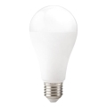 LED-Lampe GS E27/22W/230V 4000K