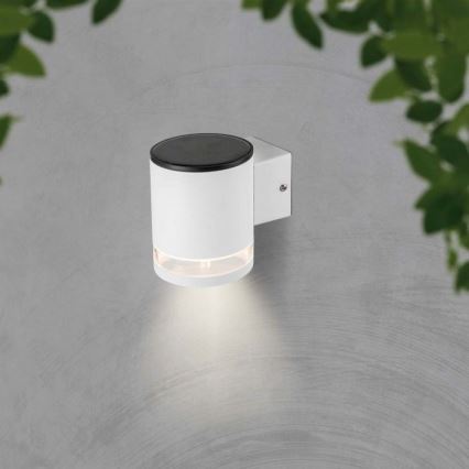 LED-Outdoor-Solarwandleuchte LED/1W/3,7V 3000K IP54 1200 mAh weiß