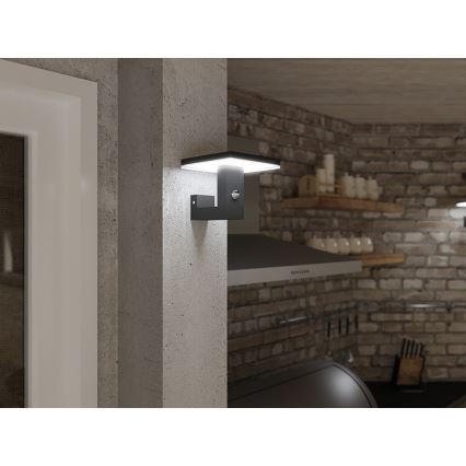 LED-Outdoor-Wandleuchte BARI LED/10W/230V 4000K IP54 anthrazit