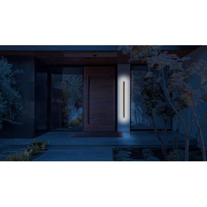 LED-Outdoor-Wandleuchte STICK LED/12W/230V IP65 3000K 60 cm