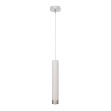 LED-Pendelleuchte an Kabel TUBA 1xGU10/4,8W/230V Weiß/Glänzender Chrom