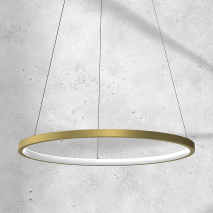 LED Kronleuchter an Kabel ROTONDA LED/27W/230V gold