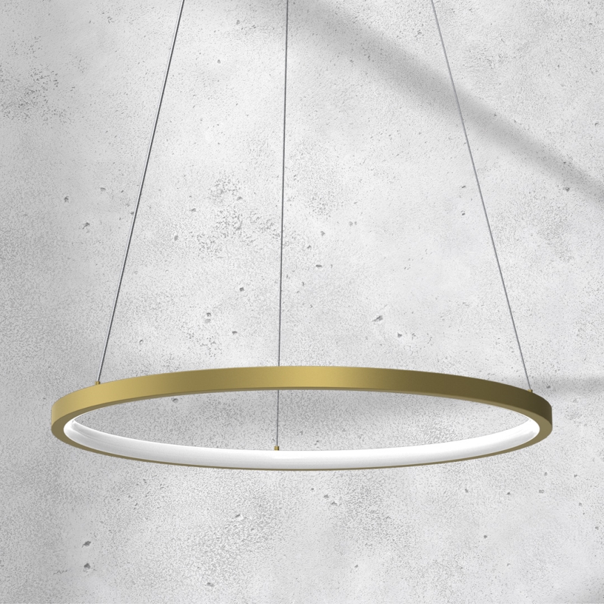LED Kronleuchter an Kabel ROTONDA LED/27W/230V gold