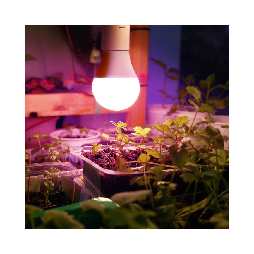 LED Pflanzenlampe PLANTY E27/11W/230V 1200K Weiß