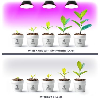 LED Pflanzenlampe PLANTY E27/7W/230V 1200K Schwarz