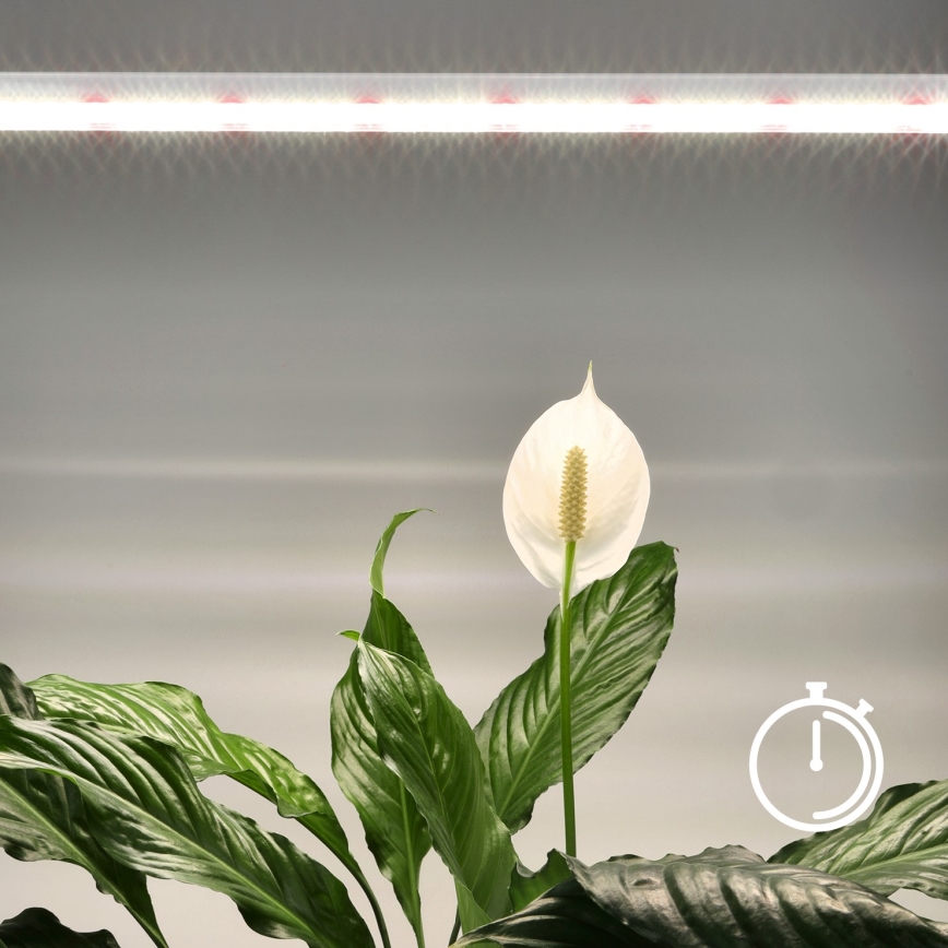LED Unterbauleuchte für Pflanzenzucht GROWLY LED/15W/230W