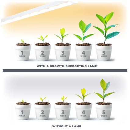 LED Unterbauleuchte für Pflanzenzucht GROWLY LED/15W/230W